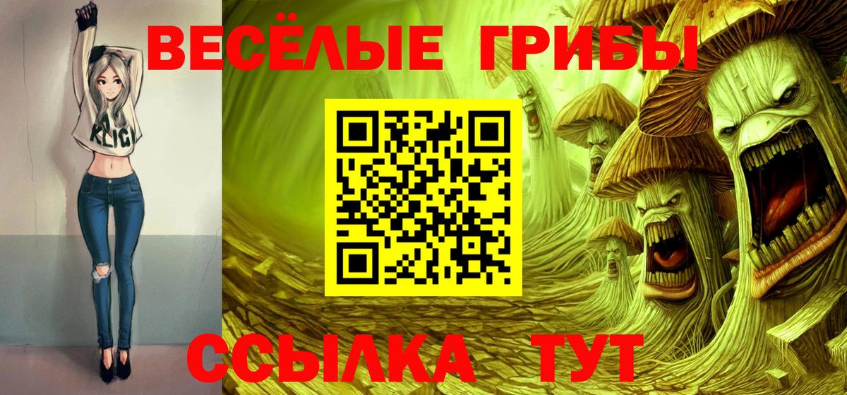 Галлюциногенные грибы GOLDEN TEACHER Мурманск