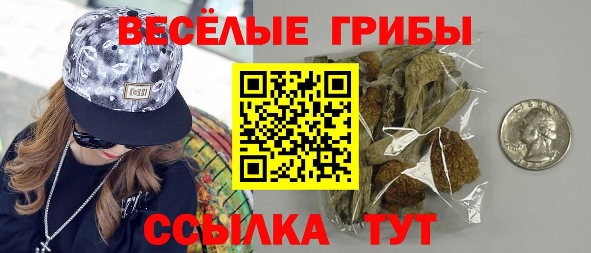 Мурманск  Галлюциногенные грибы Psilocybe  Вход с VPN 